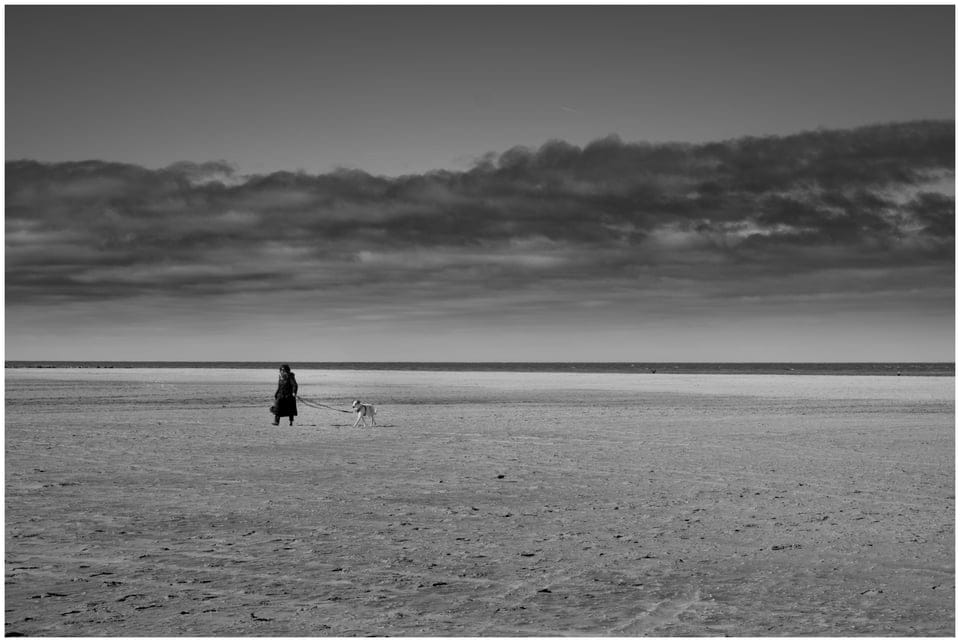 A person walking a dog in the beach