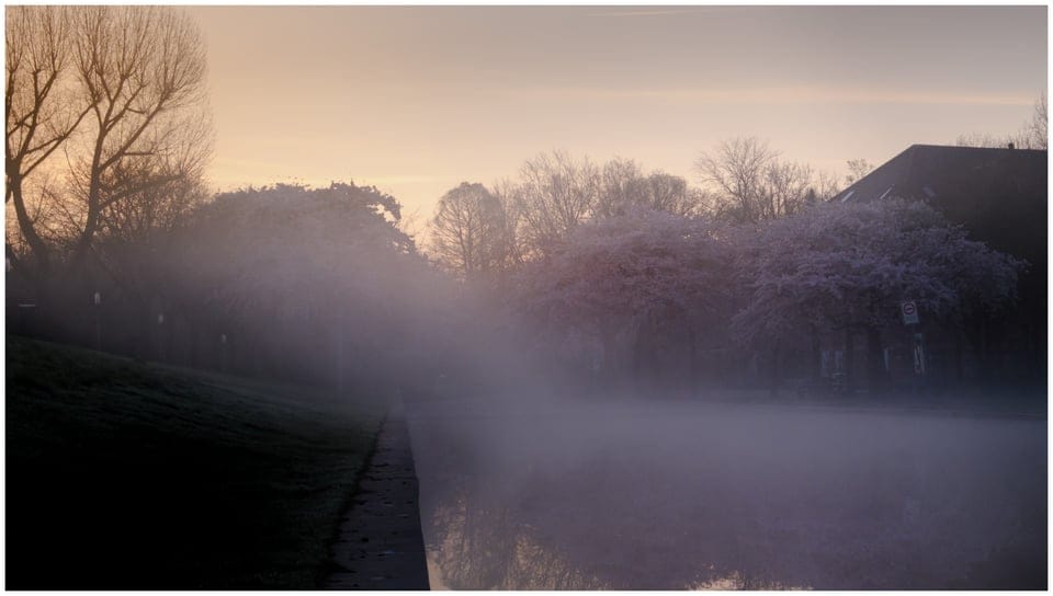 a canal with trees in the mist